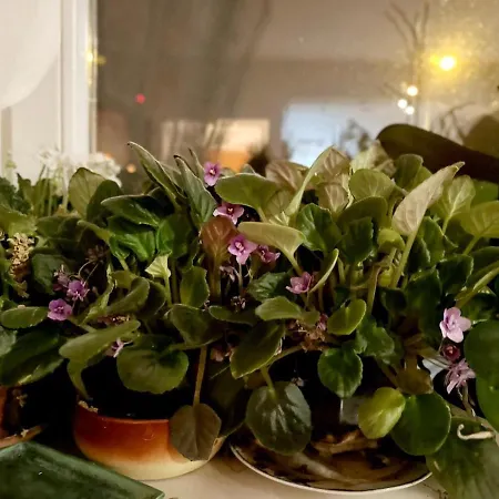 Mara Apartment, Belgrade, New